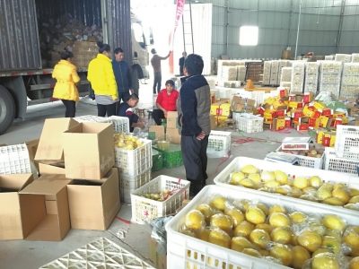 双11电商决战中国大柠檬产地 安岳柠檬收购