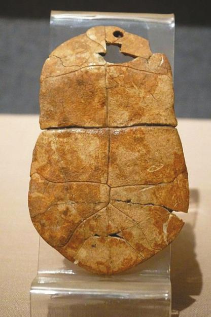 贾湖遗址出土的刻符龟甲.